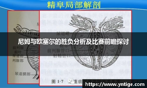 尼姆与欧塞尔的胜负分析及比赛前瞻探讨